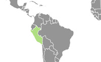 Perú